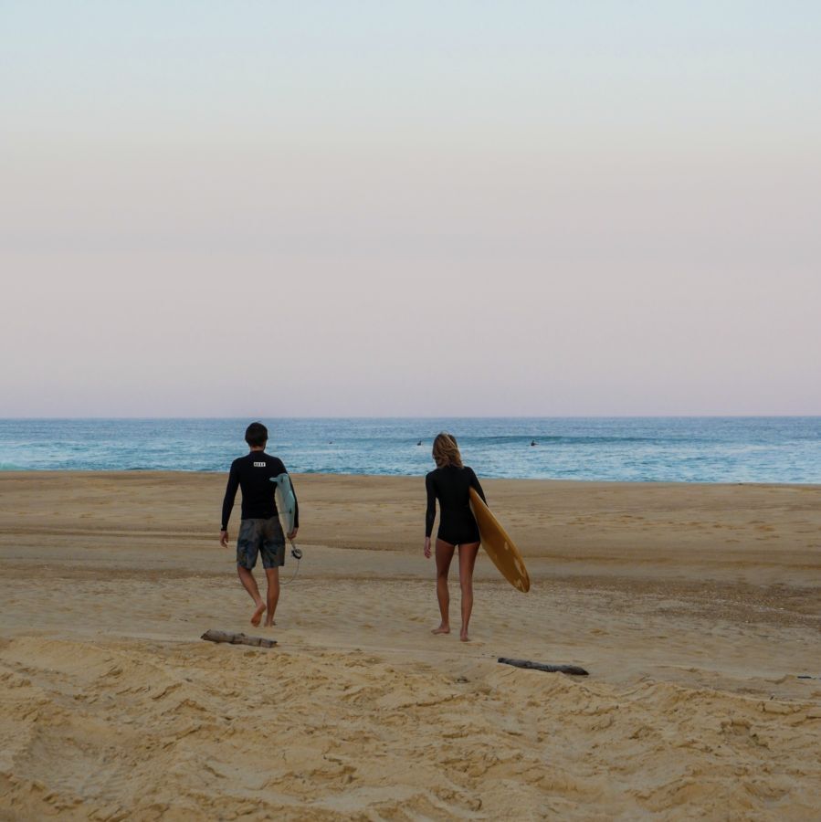 Les Hortensias du Lac - Surf