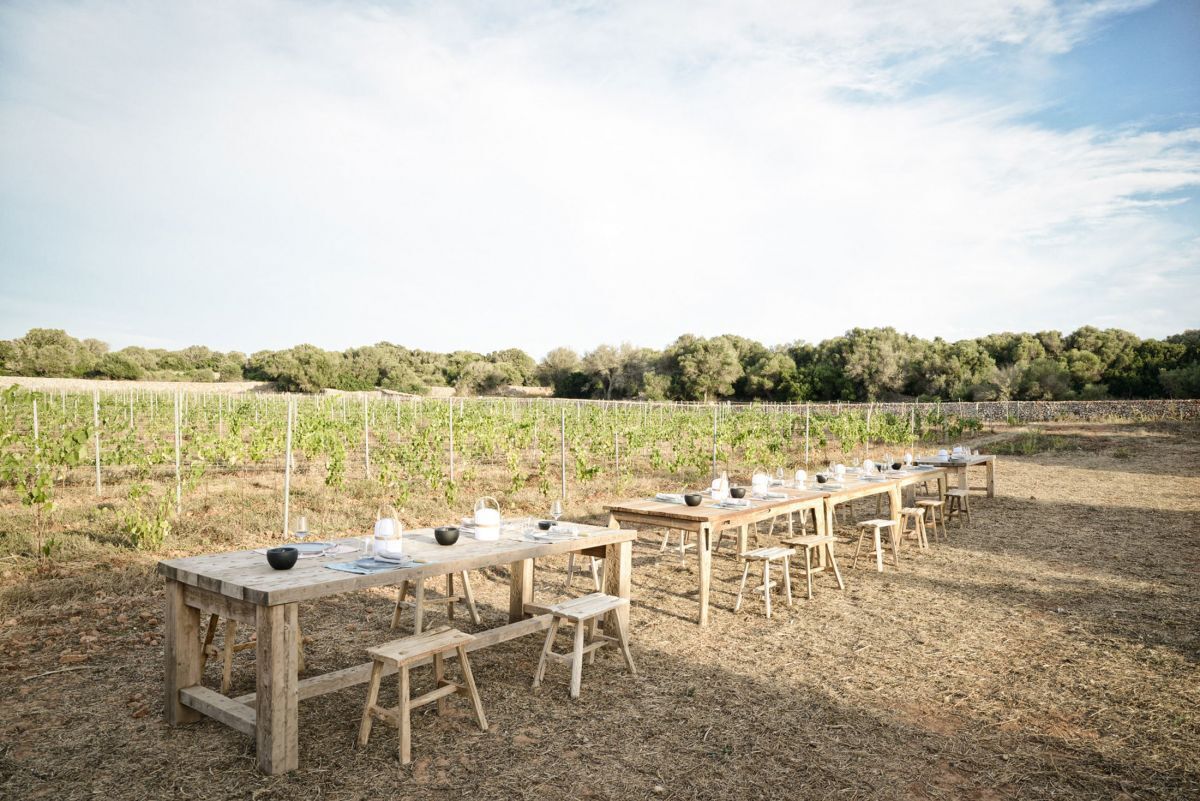 Santa Ponsa - Agriculture biologique