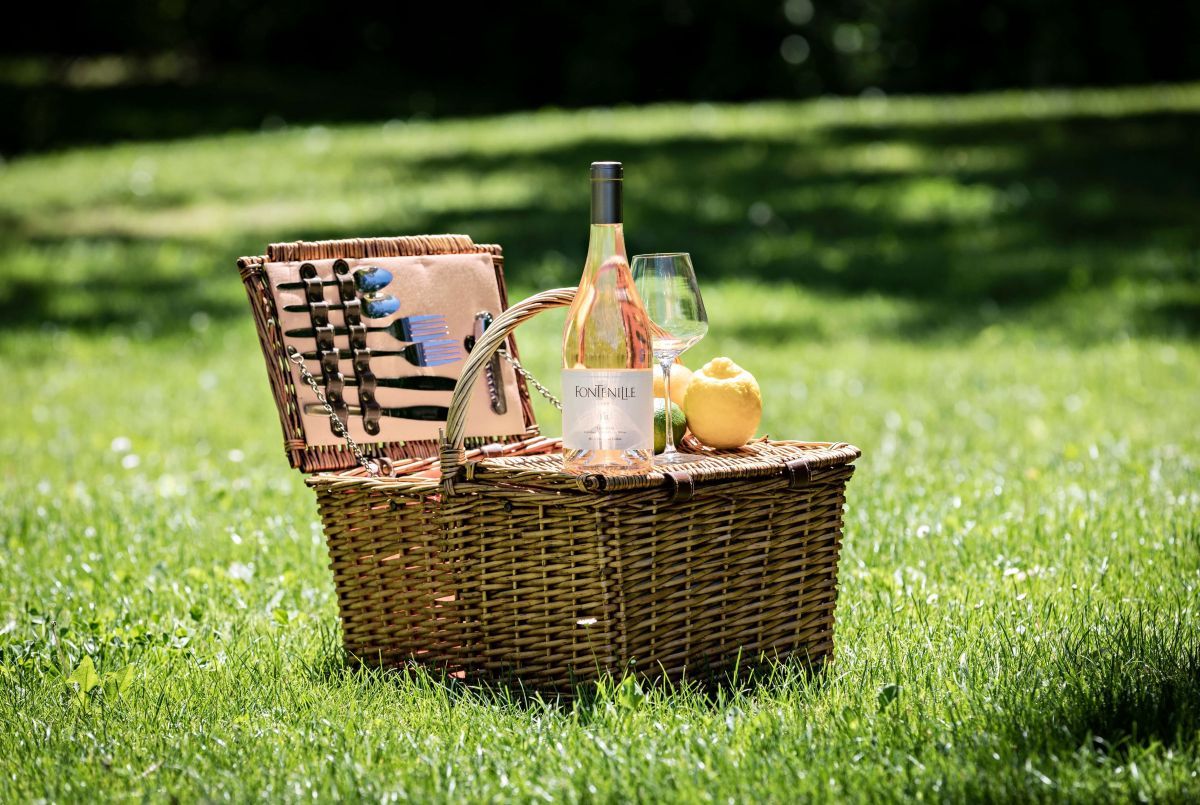 Domaine de Fontenille - Vineyard