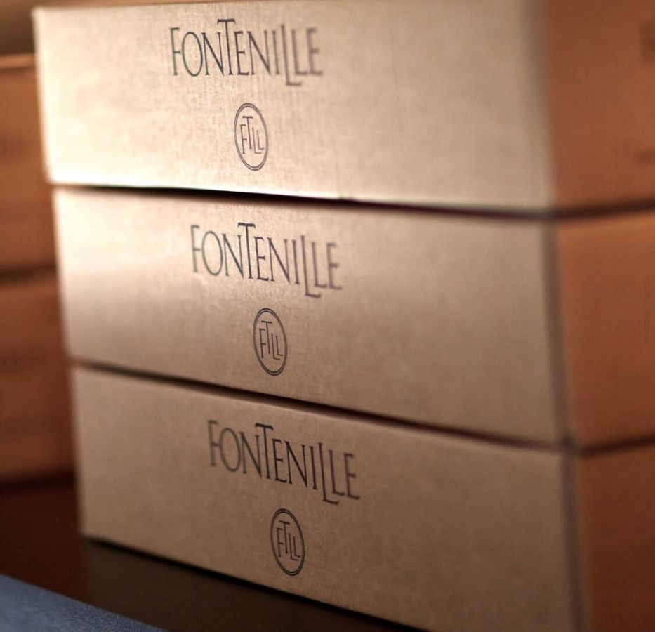 Domaine de Fontenille - Vineyard