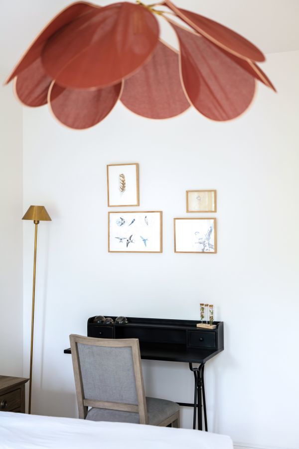deluxe jardin